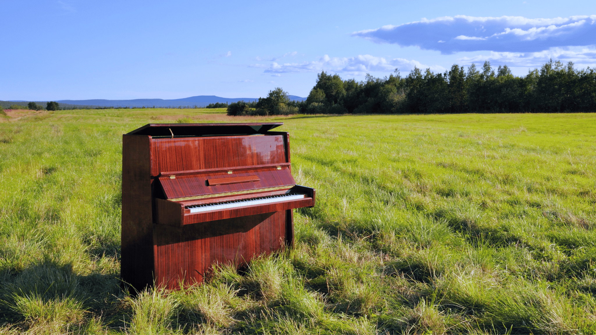 Piano Transportation