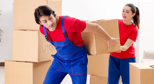 movers, super movers, master movers, smart movers, good movers,
