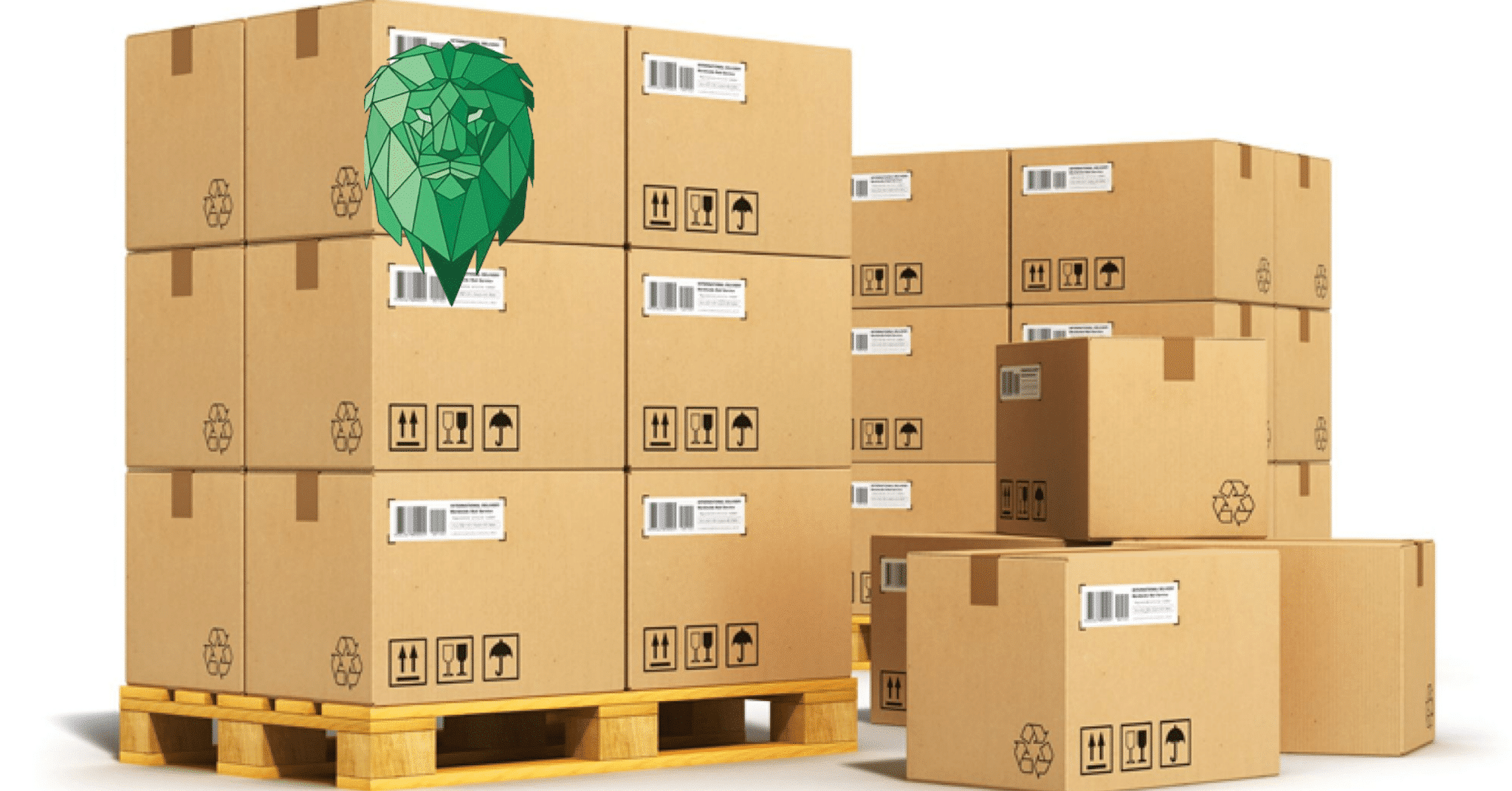 Oversized Pallet Delivery Van247