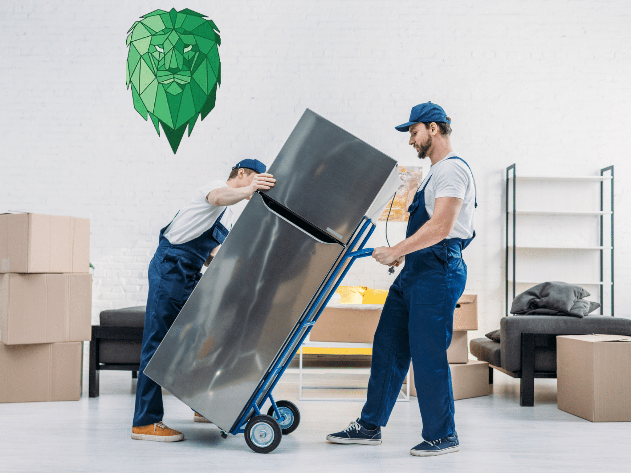 moving fridge freezer