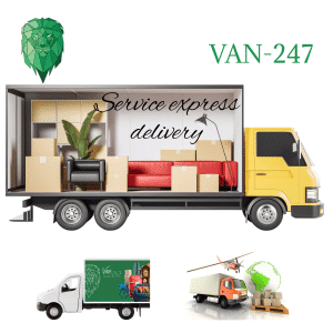 What is express delivery service?