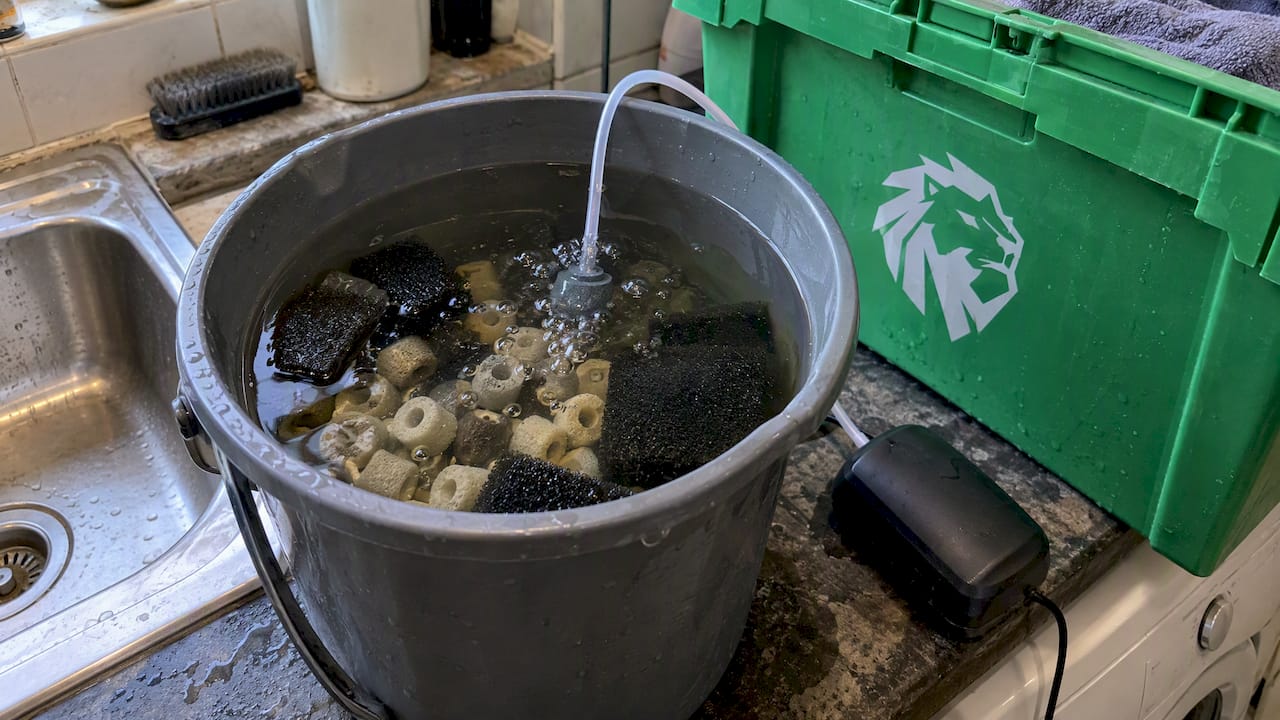 Filter media aerated in old tank water
