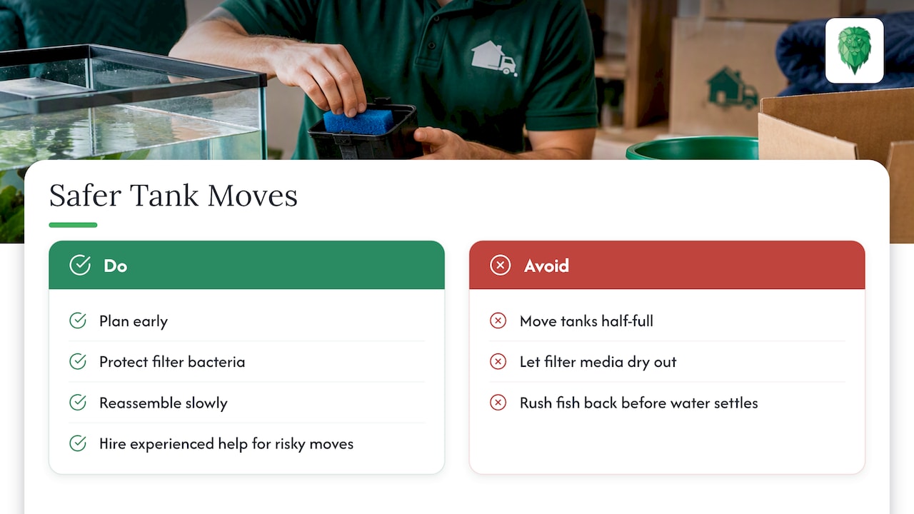 What years of removals work have taught us — overview diagram