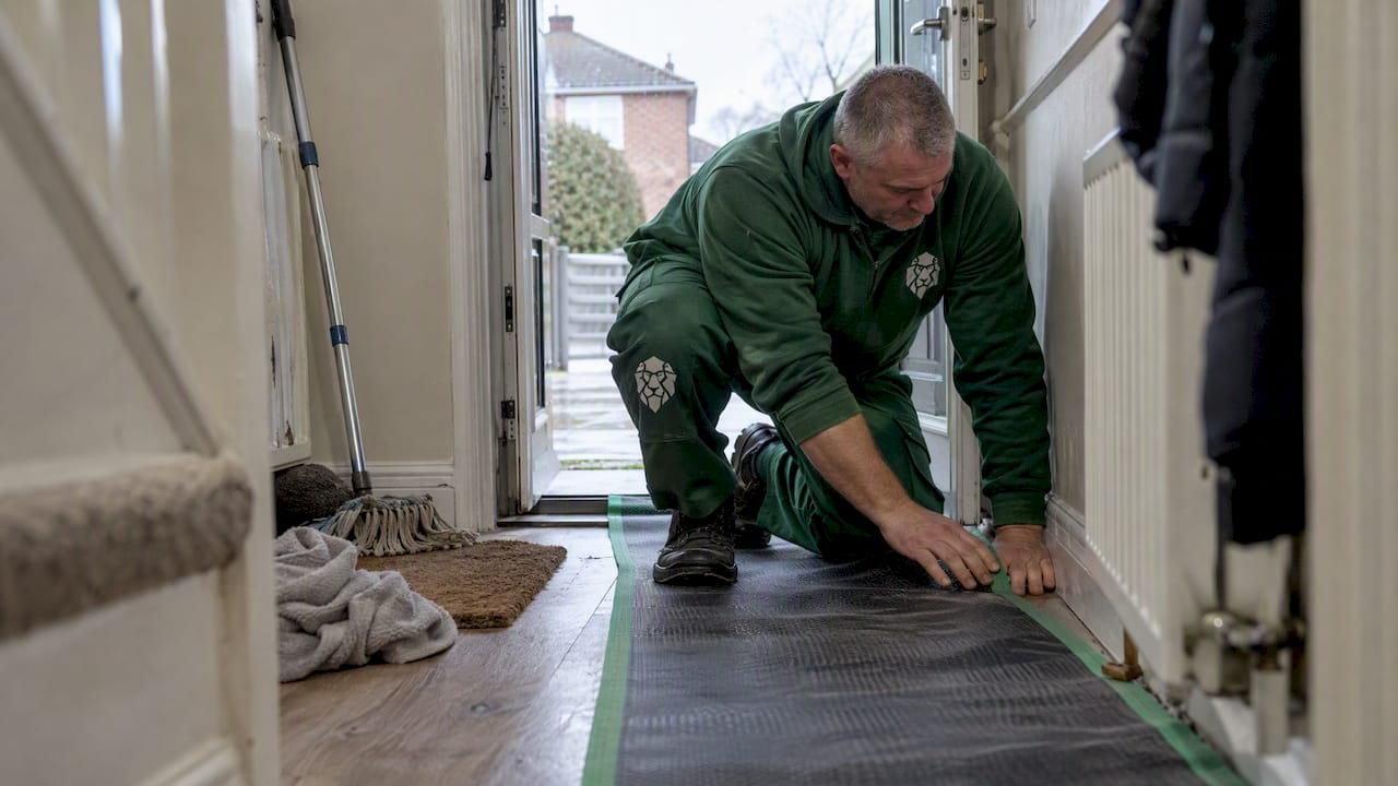 Worker laying a protective runner in hallway